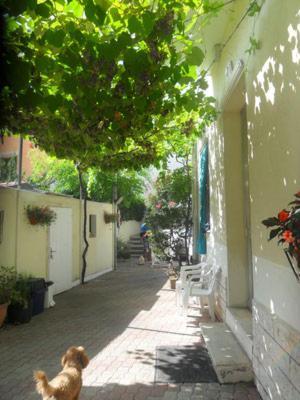 Albergo Villa-Brandi --- Pensione Completa --- Bellaria-Igea Marina Eksteriør billede
